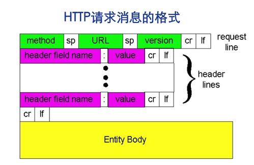 計算機(jī)網(wǎng)絡(luò)應(yīng)用與軟件簡介